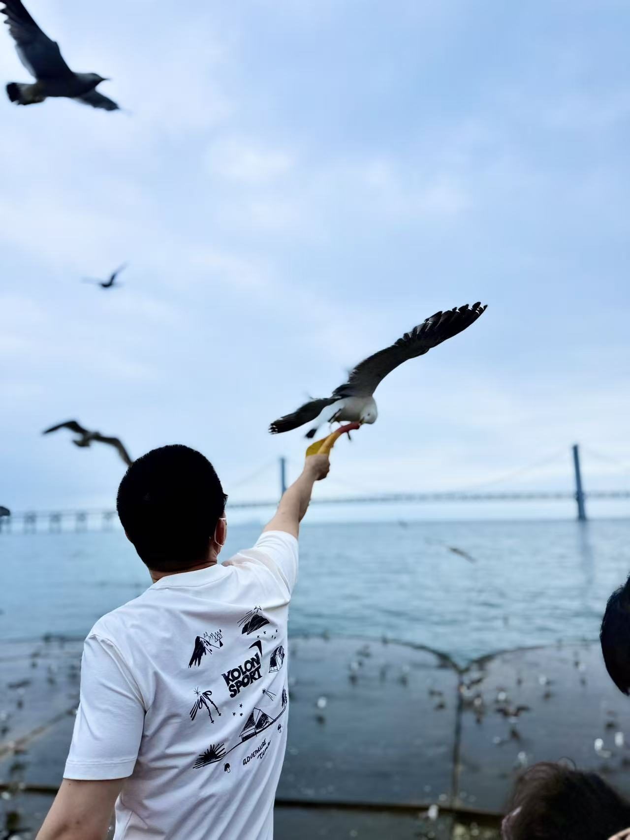 大连｜故事没有结束 照片